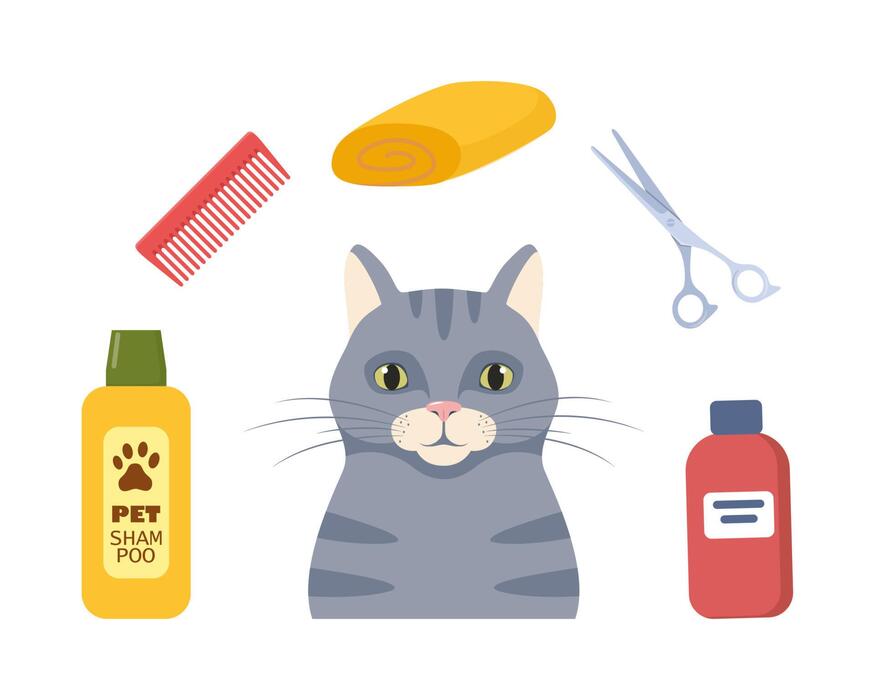 Cat Grooming (Shampoo Hair Brush Etc)